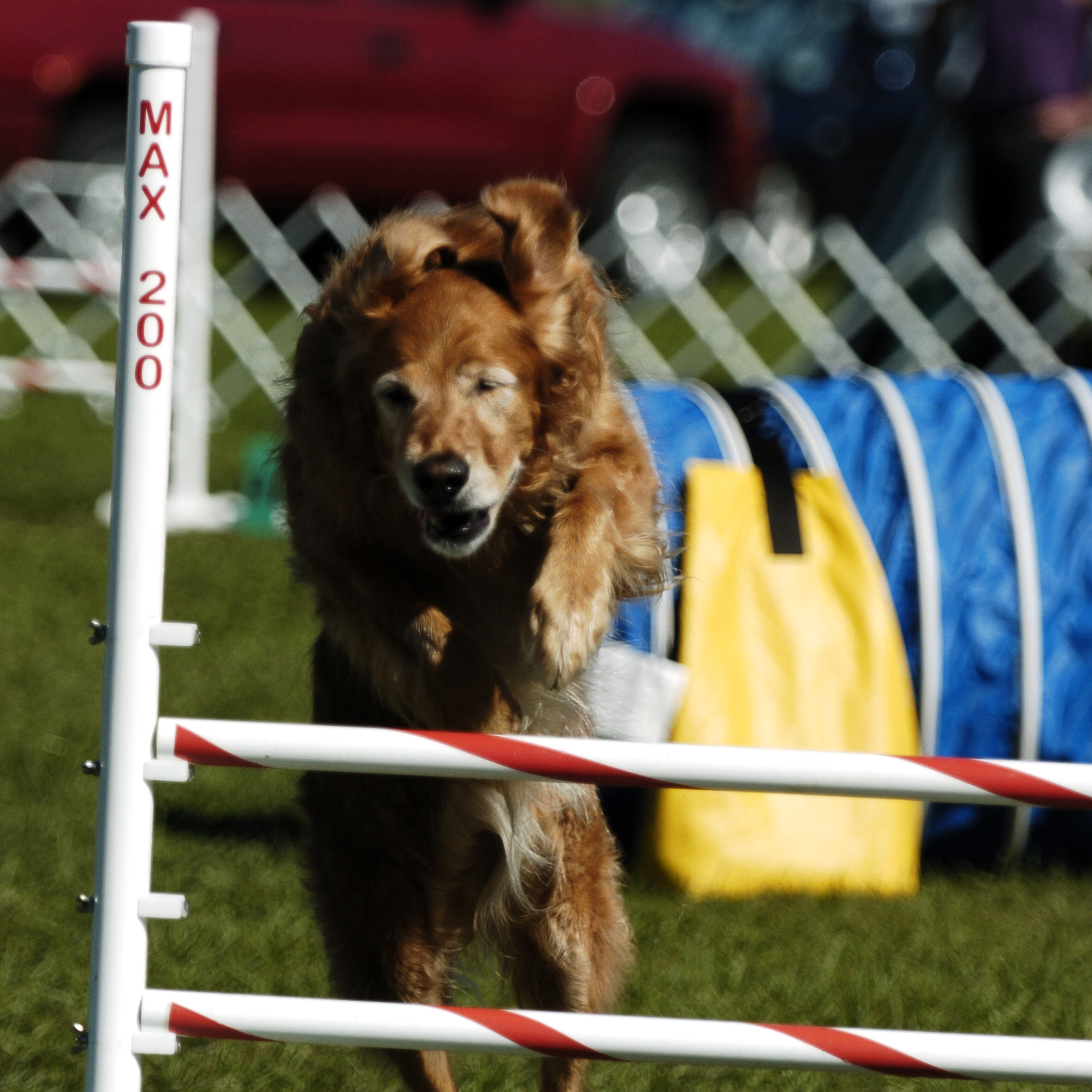 Bailey Jump
